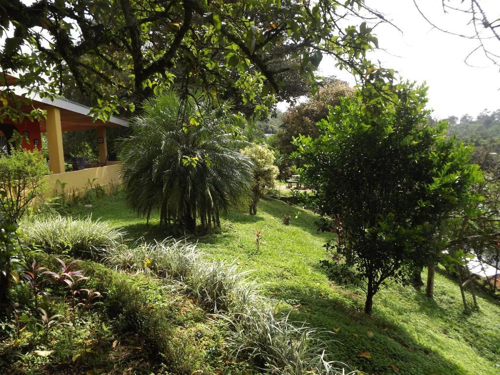 Aparthotel Villa Pacande & Rooms Pilas Kamer foto