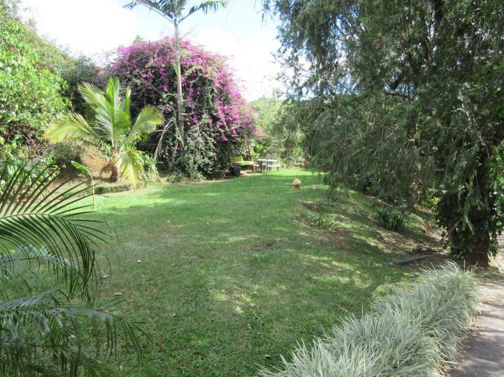 Aparthotel Villa Pacande & Rooms Pilas Buitenkant foto